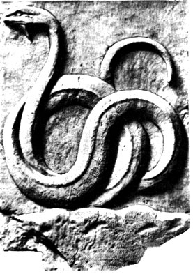 Изображение священной змеи на древнегреческом барельефе в Афинах