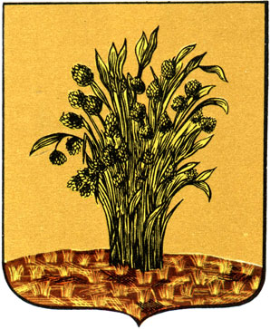 311. Сураж - герб