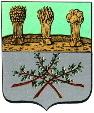 337. Краснослободск - герб