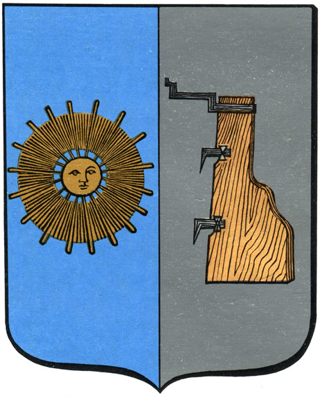 373. Боровичи - герб